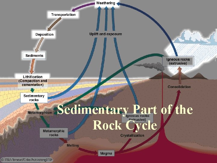 Sedimentary Part of the Rock Cycle 