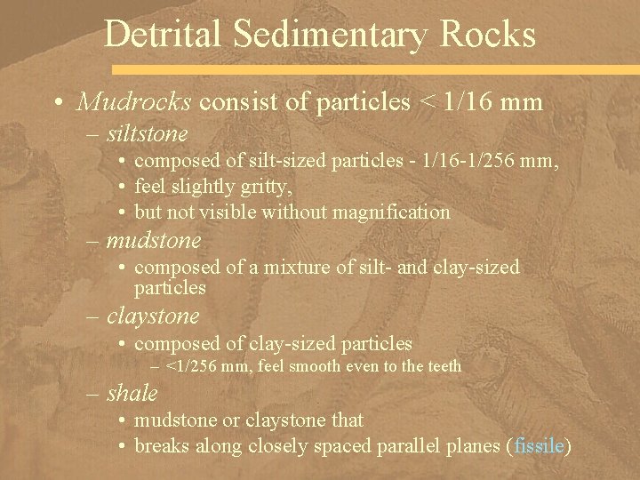 Detrital Sedimentary Rocks • Mudrocks consist of particles < 1/16 mm – siltstone •