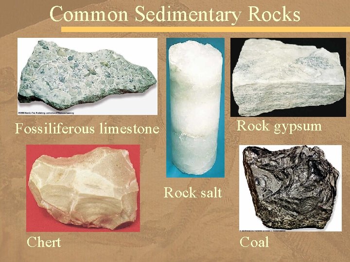 Common Sedimentary Rocks Rock gypsum Fossiliferous limestone Rock salt Chert Coal 