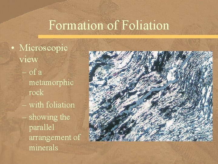 Formation of Foliation • Microscopic view – of a metamorphic rock – with foliation