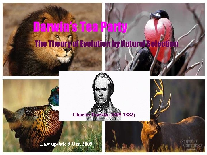 Darwin’s Tea Party Theory of Evolution by Natural Selection Charles Darwin (1809 -1882) Last