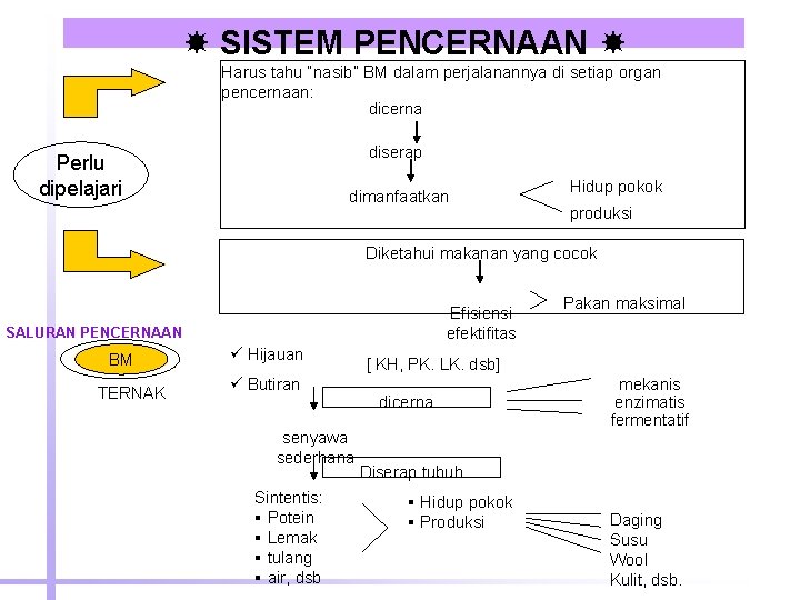  SISTEM PENCERNAAN Harus tahu “nasib” BM dalam perjalanannya di setiap organ pencernaan: dicerna