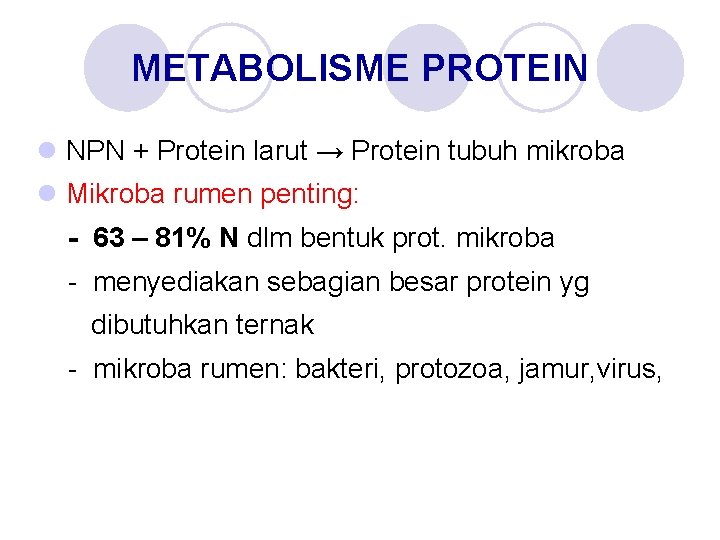 METABOLISME PROTEIN l NPN + Protein larut → Protein tubuh mikroba l Mikroba rumen