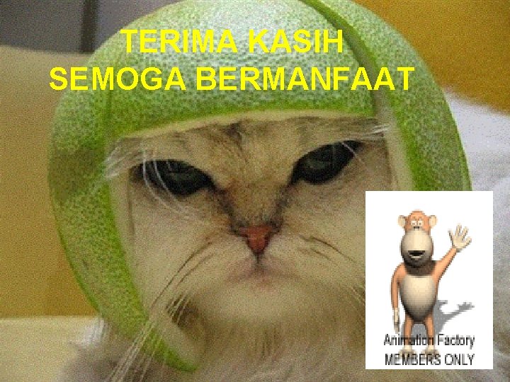 TERIMA KASIH SEMOGA BERMANFAAT 
