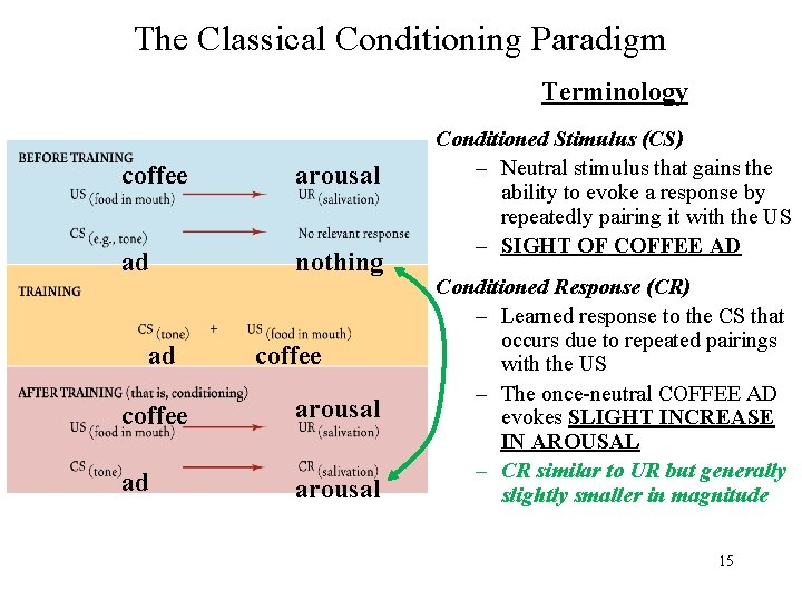 The Classical Conditioning Paradigm Terminology coffee arousal ad nothing ad coffee arousal ad arousal