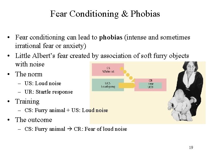 Fear Conditioning & Phobias • Fear conditioning can lead to phobias (intense and sometimes