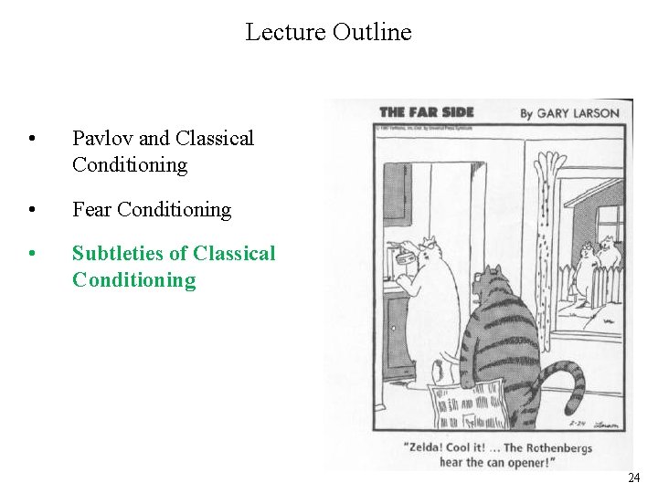 Lecture Outline • Pavlov and Classical Conditioning • Fear Conditioning • Subtleties of Classical