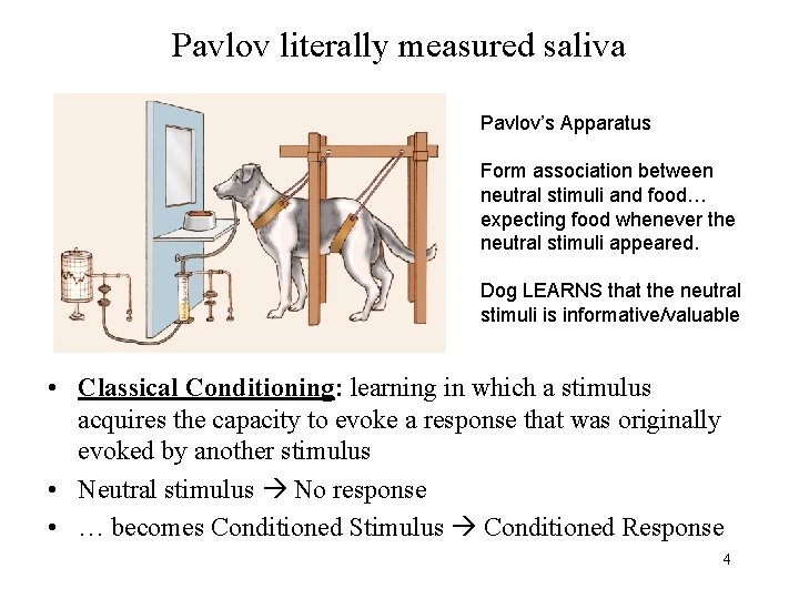 Pavlov literally measured saliva Pavlov’s Apparatus Form association between neutral stimuli and food… expecting