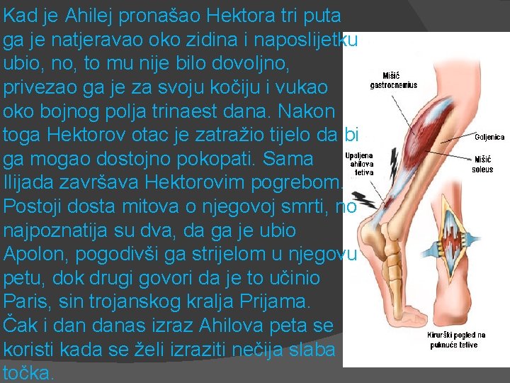 Kad je Ahilej pronašao Hektora tri puta ga je natjeravao oko zidina i naposlijetku Kad je Ahilej pronašao Hektora tri puta ga je natjeravao oko zidina i naposlijetku