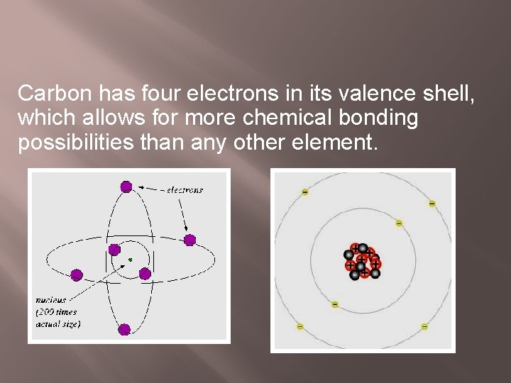 Carbon has four electrons in its valence shell, which allows for more chemical bonding