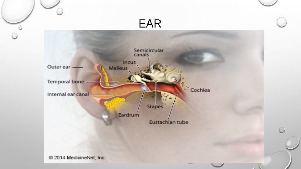 EAR 