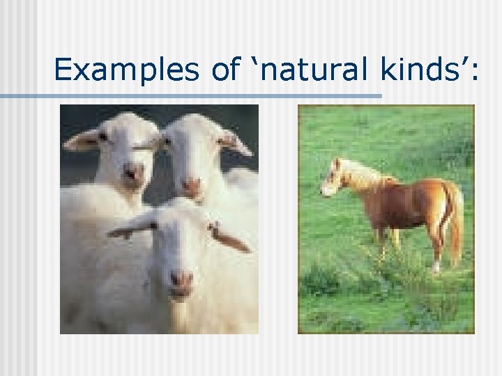 Examples of ‘natural kinds’: 