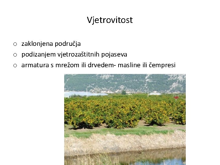 Vjetrovitost o zaklonjena područja o podizanjem vjetrozaštitnih pojaseva o armatura s mrežom ili drvedem-