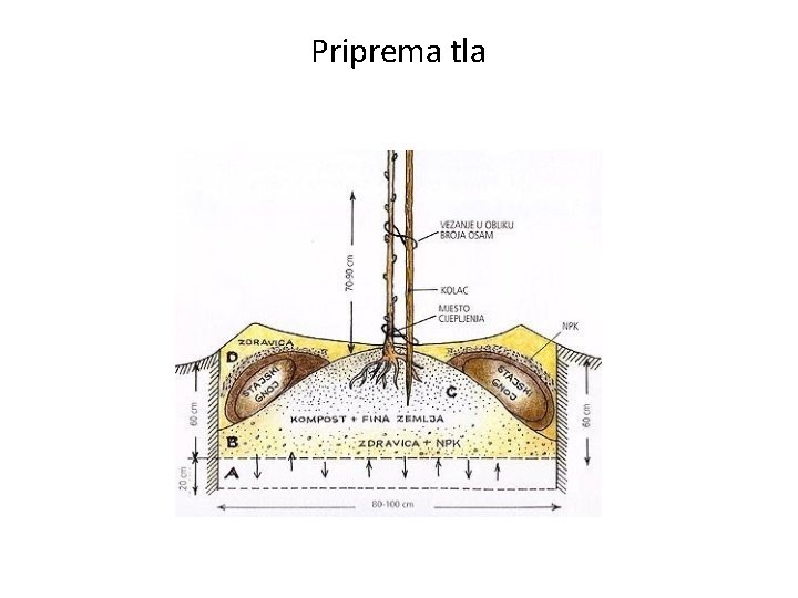 Priprema tla 