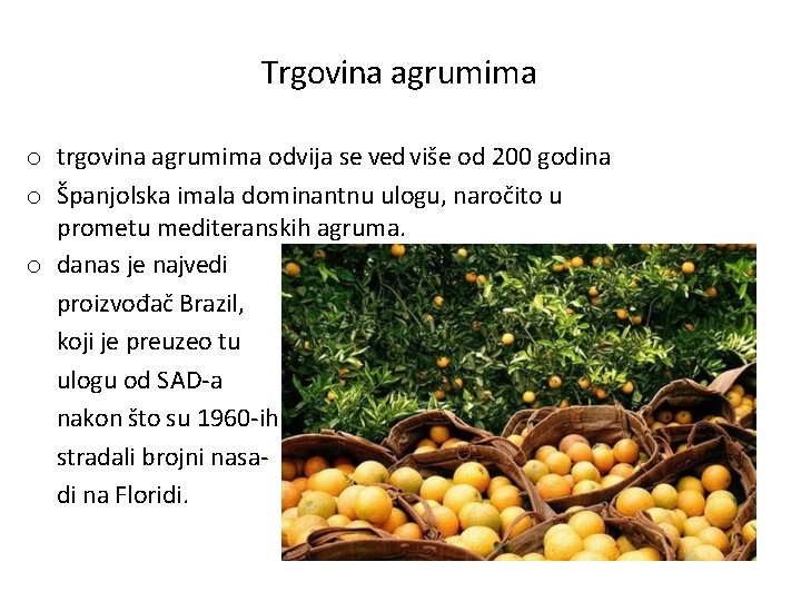 Trgovina agrumima o trgovina agrumima odvija se ved više od 200 godina o Španjolska