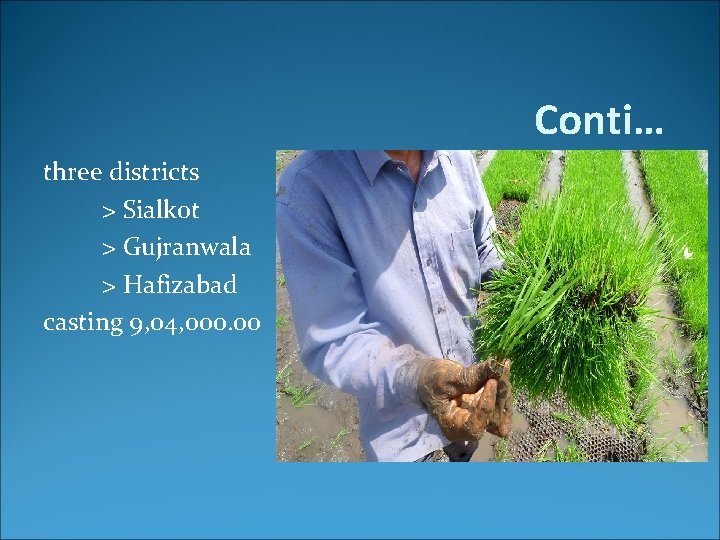 Conti… three districts > Sialkot > Gujranwala > Hafizabad casting 9, 04, 000. 00