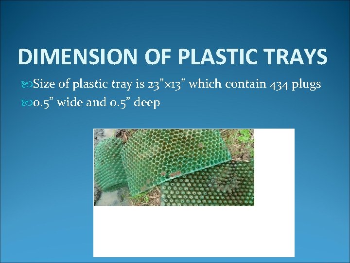 DIMENSION OF PLASTIC TRAYS Size of plastic tray is 23”× 13” which contain 434