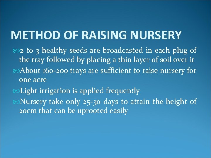 METHOD OF RAISING NURSERY 2 to 3 healthy seeds are broadcasted in each plug