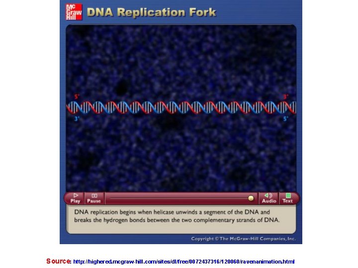 Source: http: //highered. mcgraw-hill. com/sites/dl/free/0072437316/120060/ravenanimation. html 