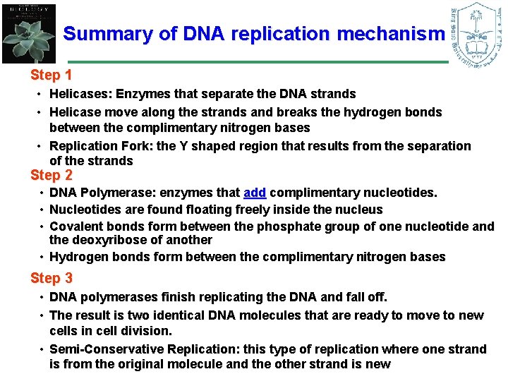 Summary of DNA replication mechanism Step 1 • Helicases: Enzymes that separate the DNA