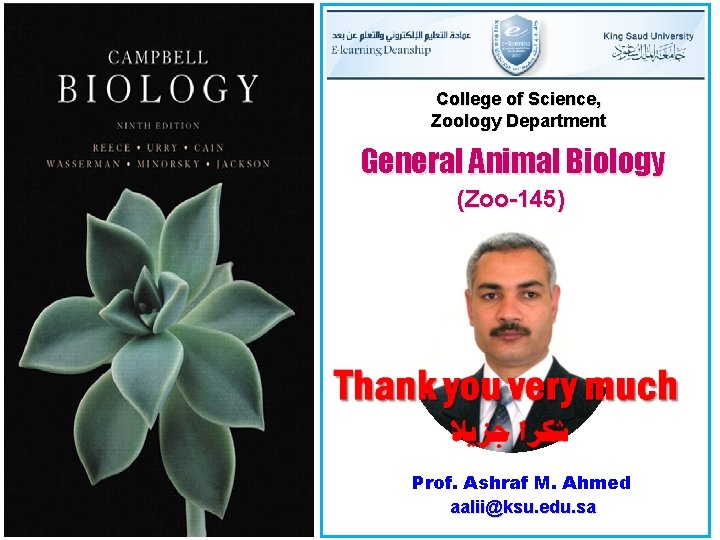 College of Science, Zoology Department General Animal Biology (Zoo-145) Prof. Ashraf M. Ahmed aalii@ksu.