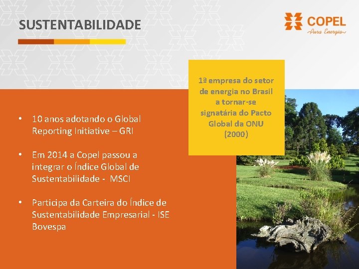 SUSTENTABILIDADE • 10 anos adotando o Global Reporting Initiative – GRI • Em 2014