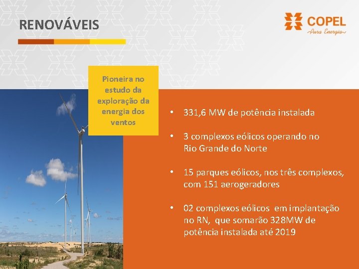 RENOVÁVEIS Pioneira no estudo da exploração da energia dos ventos • 331, 6 MW