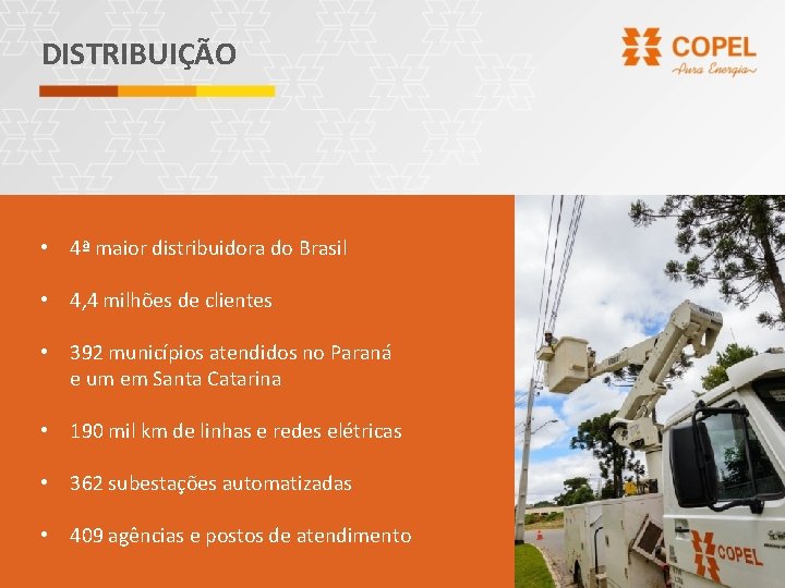 DISTRIBUIÇÃO • 4ª maior distribuidora do Brasil • 4, 4 milhões de clientes •