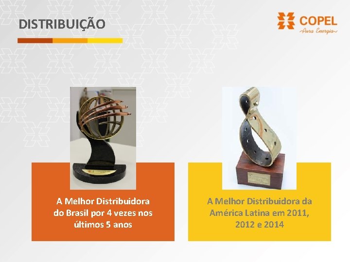 DISTRIBUIÇÃO A Melhor Distribuidora do Brasil por 4 vezes nos últimos 5 anos A