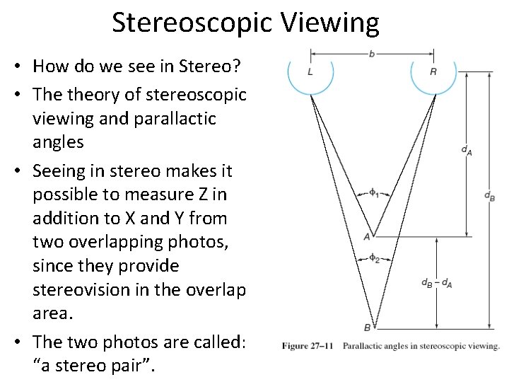 Stereoscopic Viewing • How do we see in Stereo? • The theory of stereoscopic