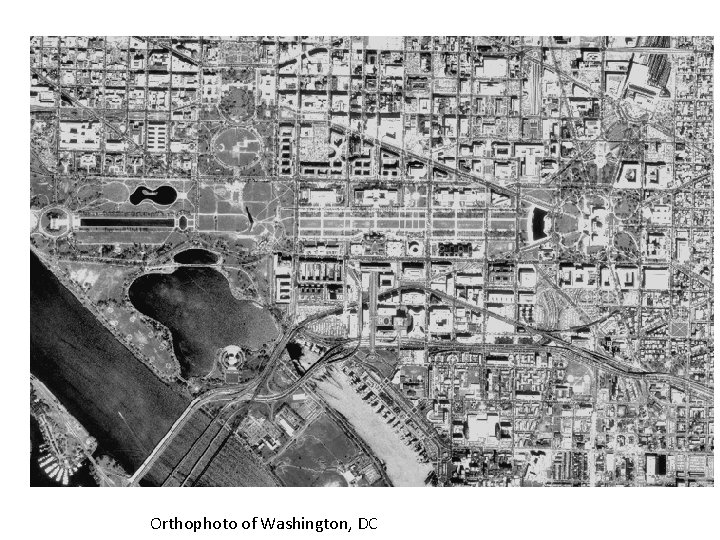 Orthophoto of Washington, DC 