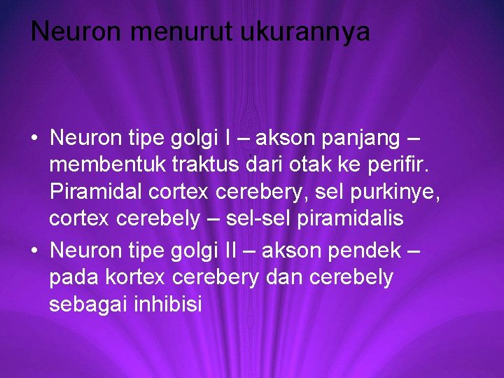 Neuron menurut ukurannya • Neuron tipe golgi I – akson panjang – membentuk traktus