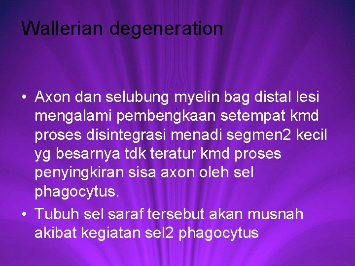 Wallerian degeneration • Axon dan selubung myelin bag distal lesi mengalami pembengkaan setempat kmd