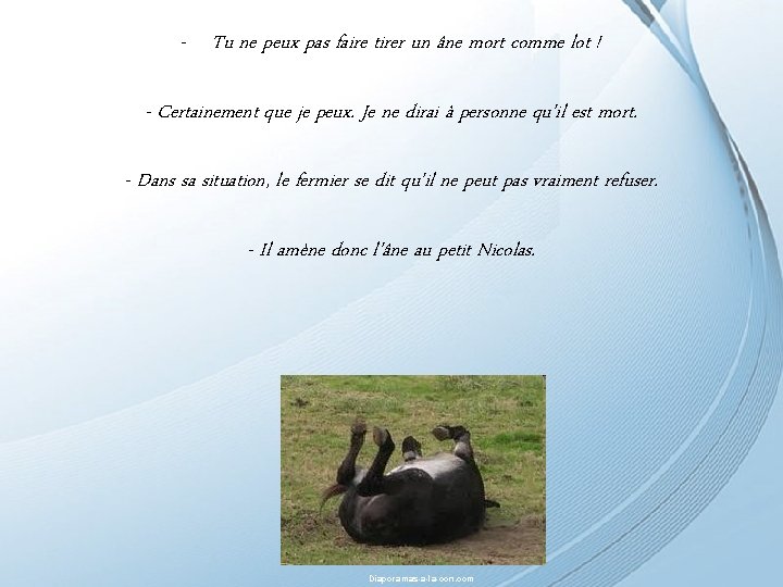 - Tu ne peux pas faire tirer un âne mort comme lot ! Diaporama