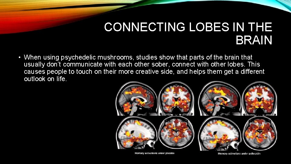 CONNECTING LOBES IN THE BRAIN • When using psychedelic mushrooms, studies show that parts