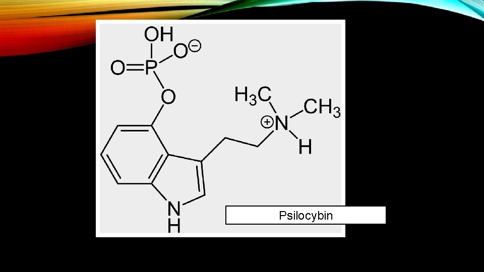 Psilocybin 