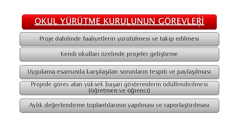 OKUL YÜRÜTME KURULUNUN GÖREVLERİ Proje dahilinde faaliyetlerin yürütülmesi ve takip edilmesi Kendi okulları özelinde