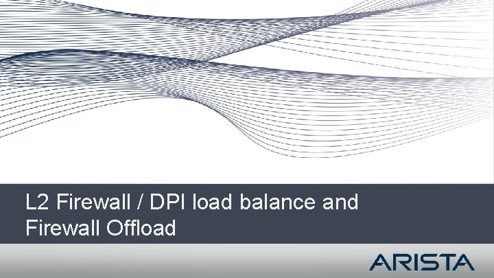 L 2 Firewall / DPI load balance and Firewall Offload 