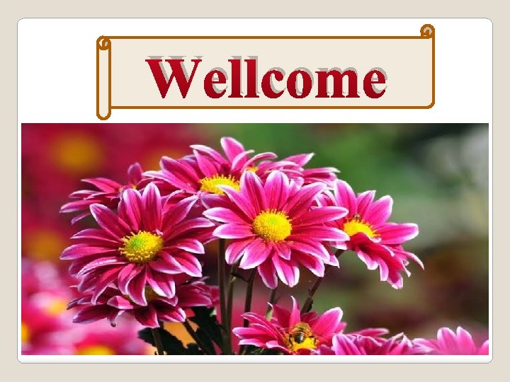 Wellcome 