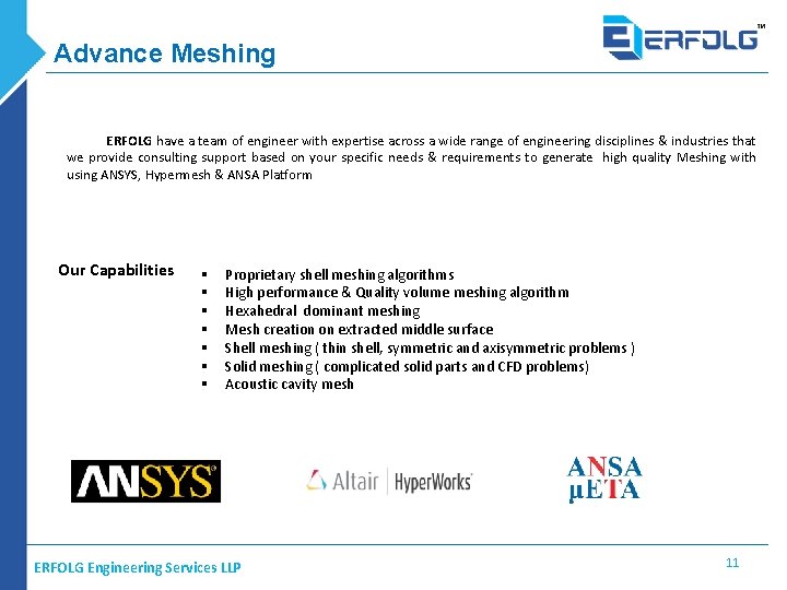 Advance Meshing ERFOLG have a team of engineer with expertise across a wide range