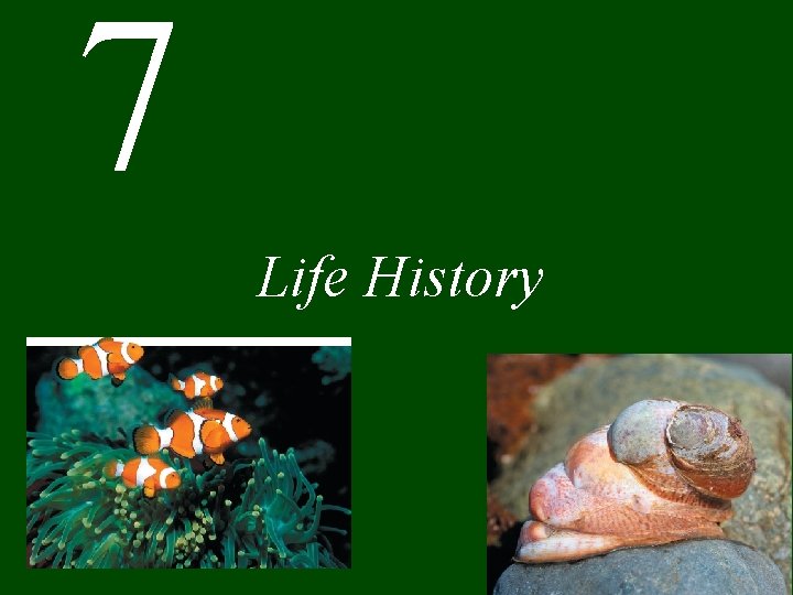 7 Life History 
