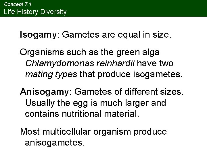 Concept 7. 1 Life History Diversity Isogamy: Gametes are equal in size. Organisms such