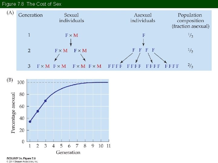 Figure 7. 8 The Cost of Sex 