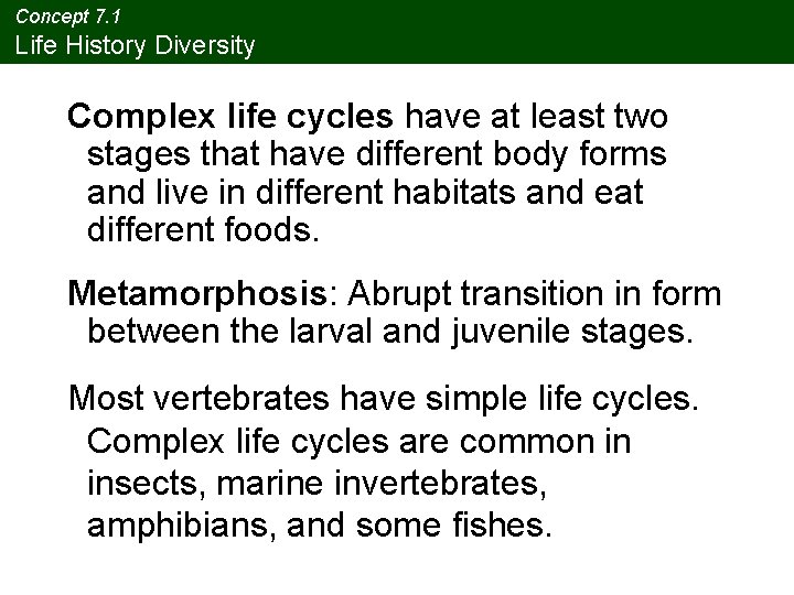 Concept 7. 1 Life History Diversity Complex life cycles have at least two stages