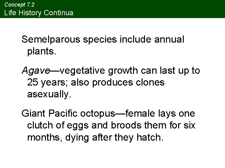 Concept 7. 2 Life History Continua Semelparous species include annual plants. Agave—vegetative growth can