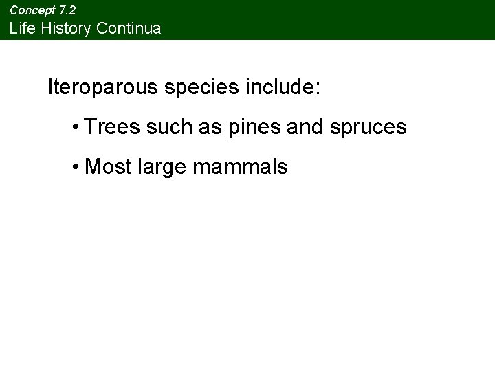 Concept 7. 2 Life History Continua Iteroparous species include: • Trees such as pines Concept 7. 2 Life History Continua Iteroparous species include: • Trees such as pines