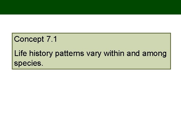 Concept 7. 1 Life history patterns vary within and among species. Concept 7. 1 Life history patterns vary within and among species.
