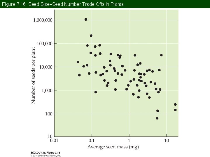 Figure 7. 16 Seed Size–Seed Number Trade-Offs in Plants 