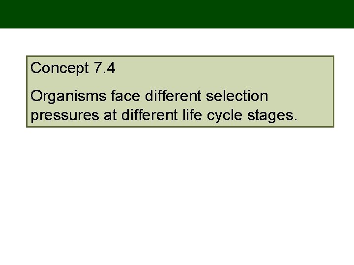 Concept 7. 4 Organisms face different selection pressures at different life cycle stages. 