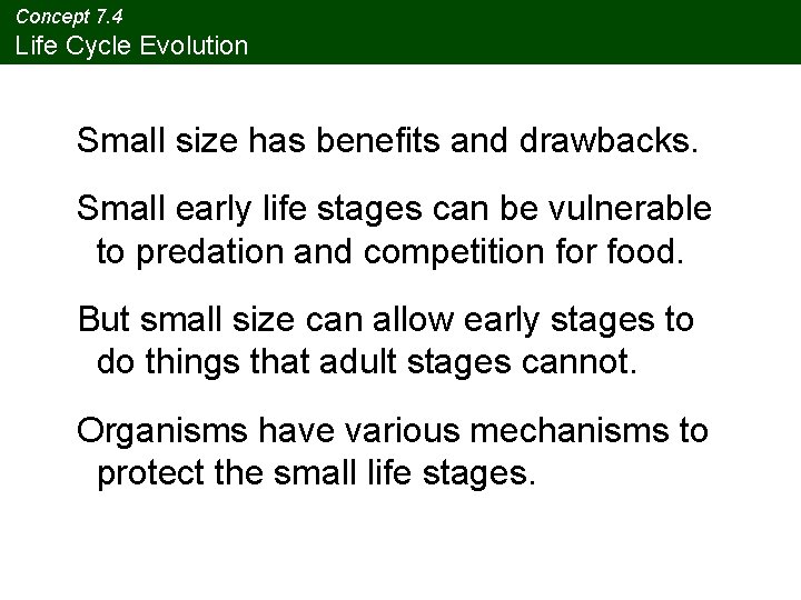 Concept 7. 4 Life Cycle Evolution Small size has benefits and drawbacks. Small early